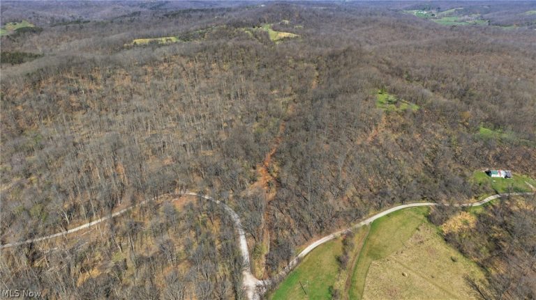 Logston Run Road, Ravenswood, WV - Photo 5