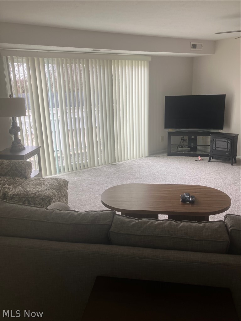 26187 Raintree Boulevard #C5, Olmsted Falls, OH - Photo 4