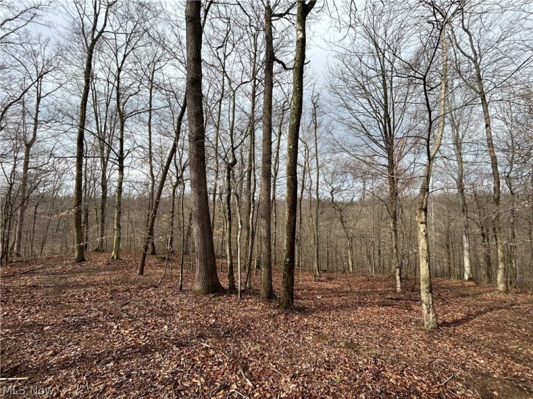 Wilbur Bush Road, Crooksville, OH - Photo 8