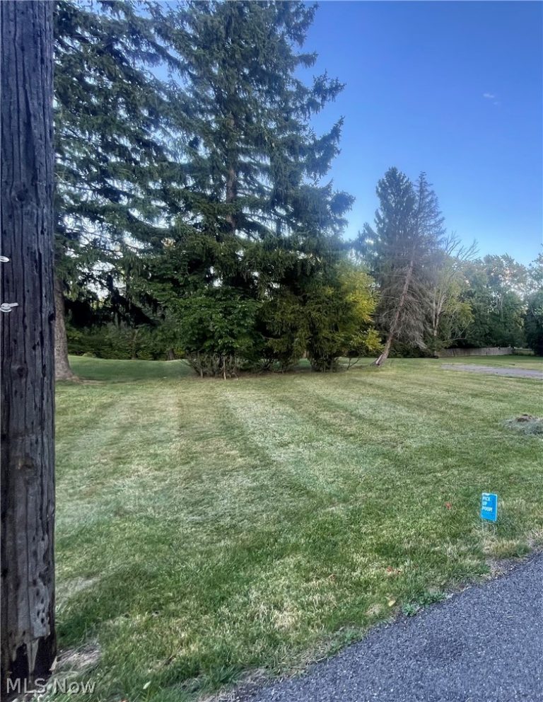 3737 Avondale Road, Woodmere, OH - Photo 3