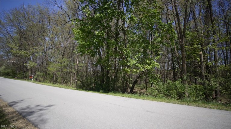 Mohican Trail, Negley, OH - Photo 4
