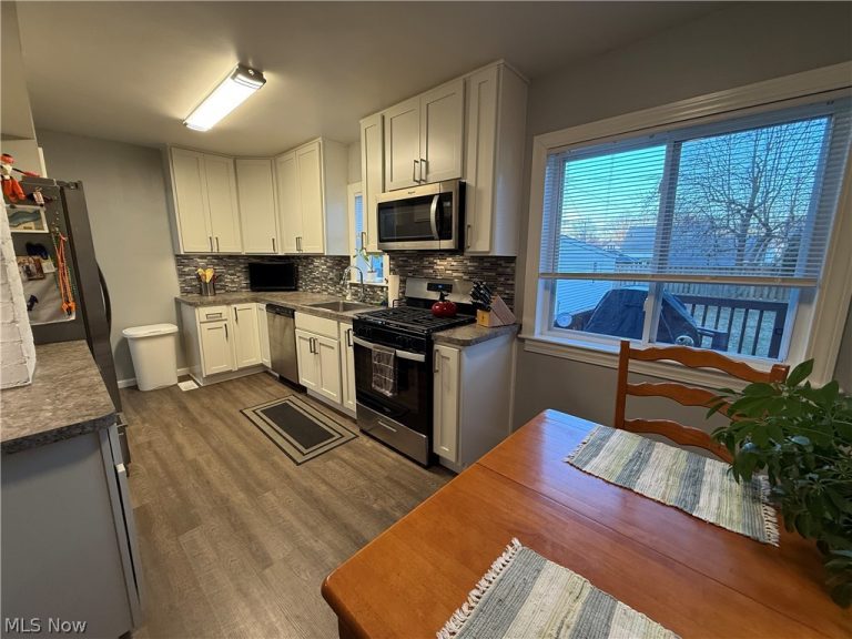 411 270th Street, Euclid, OH - Photo 5