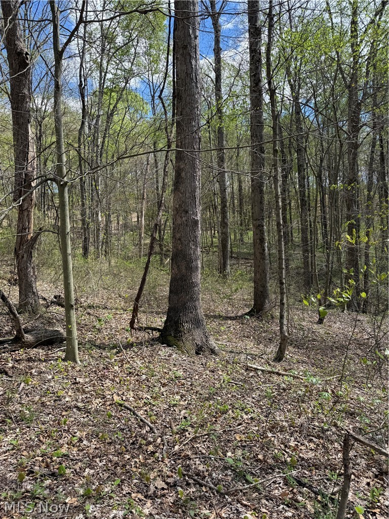 Plainview Road, Woodsfield, OH - Photo 4