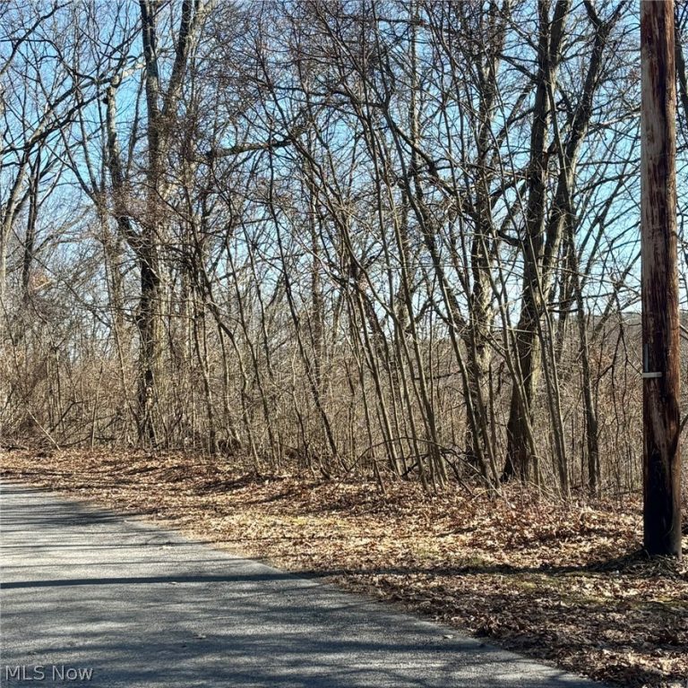 48065 Yuma Cove, Negley, OH - Photo 3
