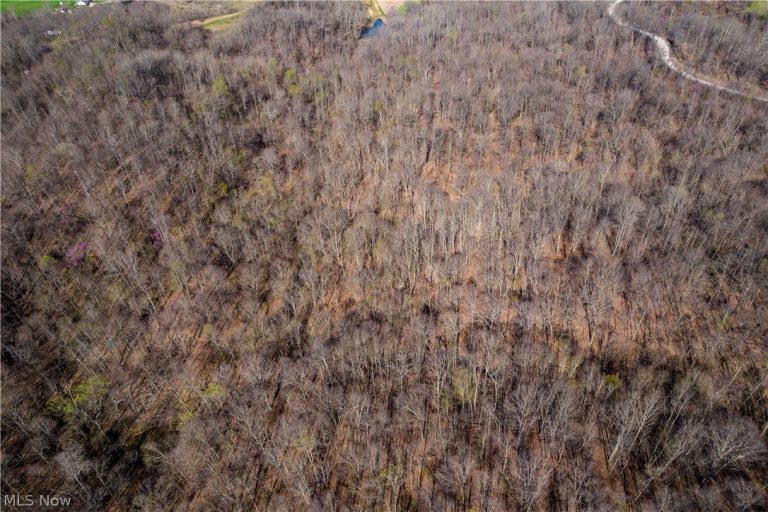 Sealover Hollow Rd Road, Philo, OH - Photo 8