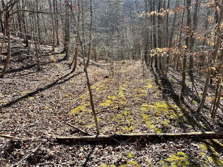 Rd 34, Ripley, WV - Photo 2