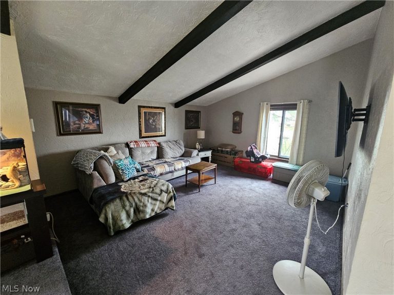 4112 Ivanhoe Drive, Lorain, OH - Photo 4