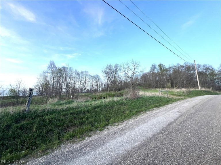 ZANE Road, Lore City, OH - Photo 5
