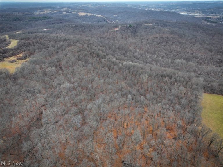 0 Tract 14 CR 7 Rear, Caldwell, OH - Photo 2