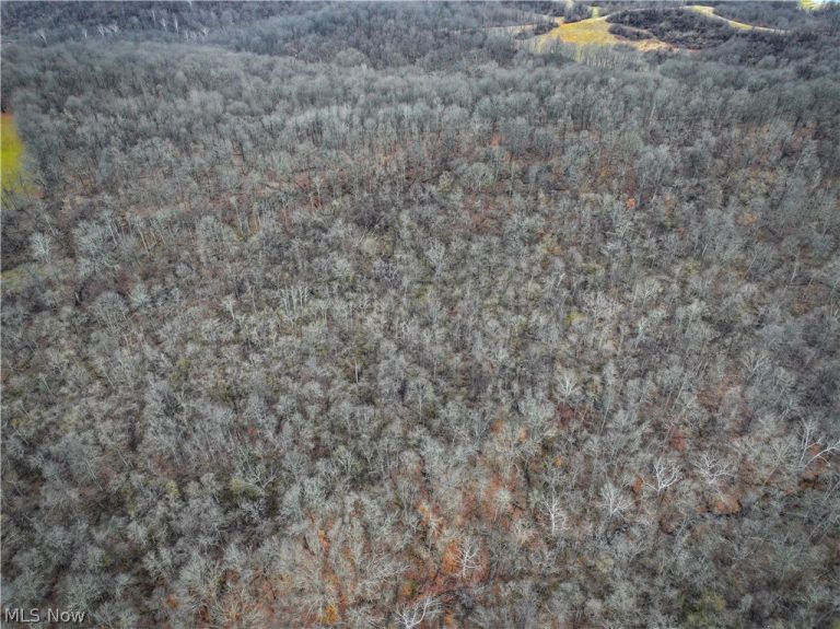 0 Tract 14 CR 7 Rear, Caldwell, OH - Photo 6