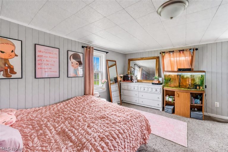 9669 Tallmadge Road, Diamond, OH - Photo 5