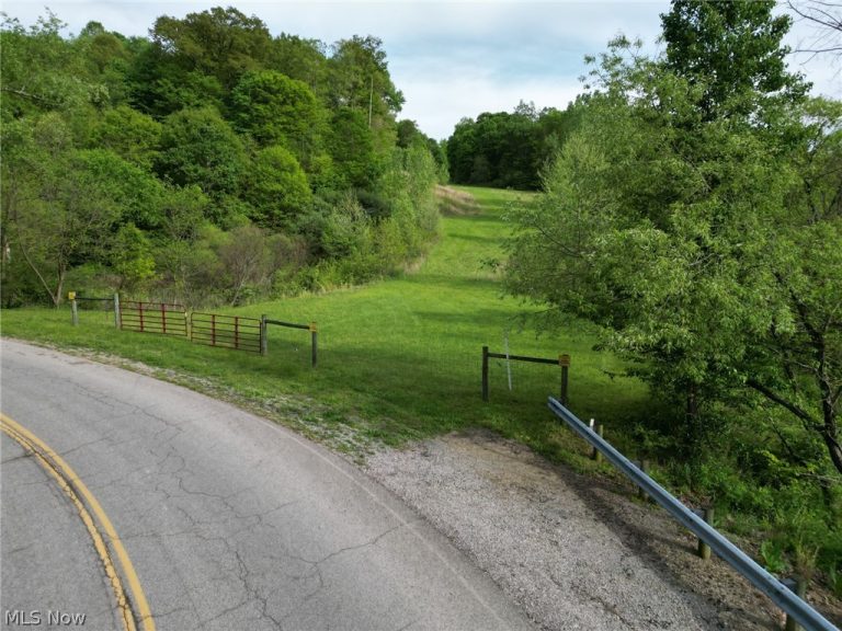 Kragel Road, Wintersville, OH - Photo 3