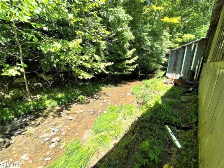 974 Slate Rd, Spencer, WV - Photo 5
