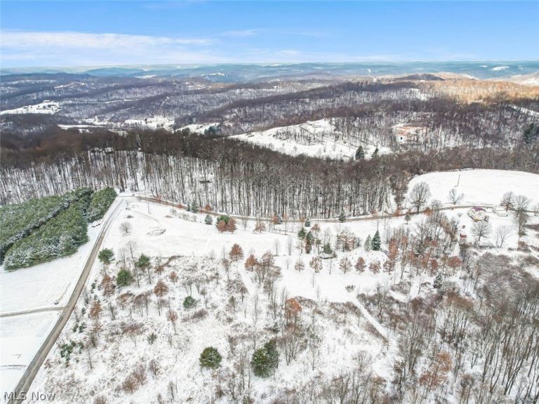 87085 Crall Road, Scio, OH - Photo 4
