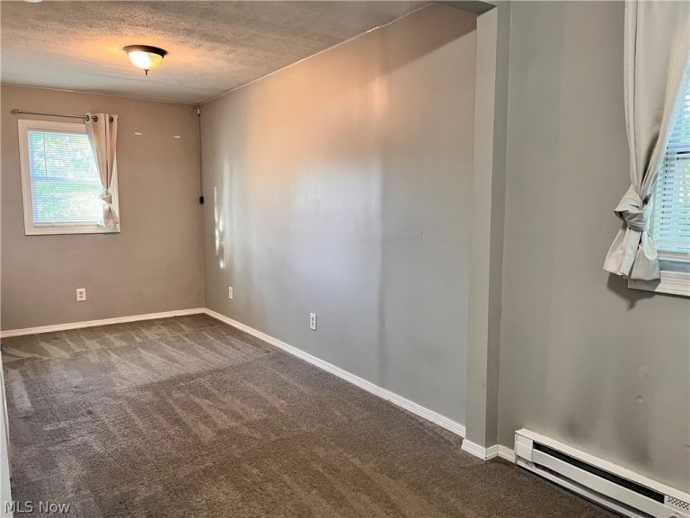 5340 Ridge Road, Madison, OH - Photo 6
