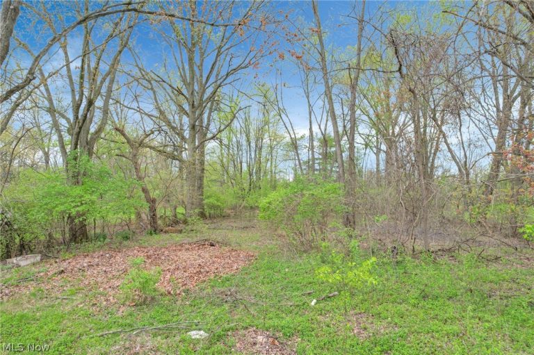 2423 Stelzer Road, Columbus, OH - Photo 4