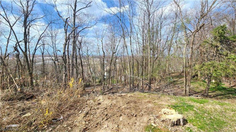 20051 Hillcrest Drive, Euclid, OH - Photo 6