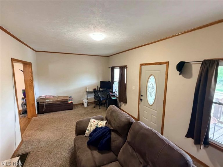 231 Front Street, Philo, OH - Photo 4