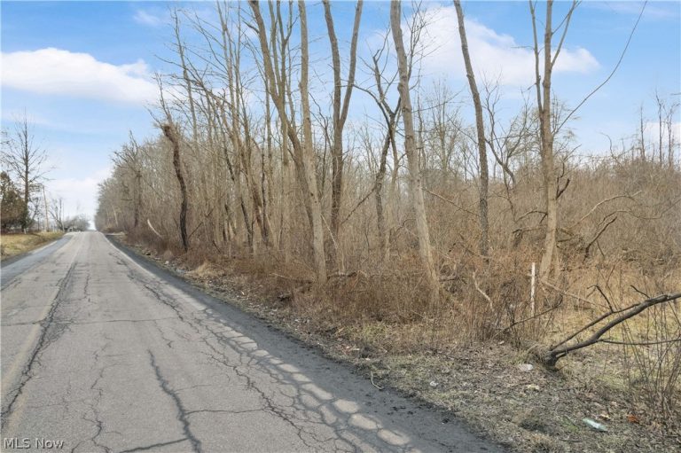 Lane Road, Warren, OH - Photo 3