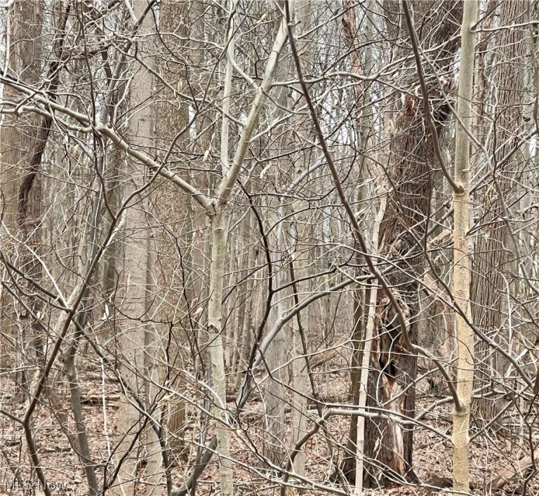 Maple Avenue, Boardman, OH, 44512