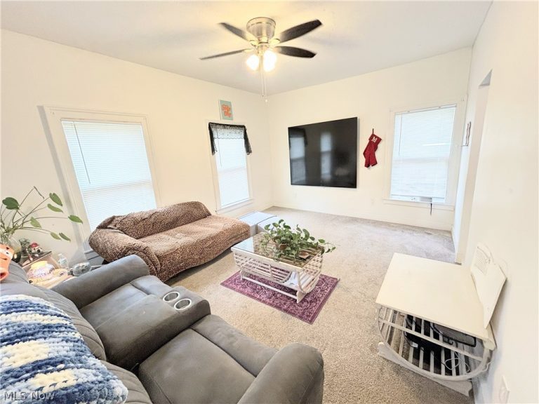 254 Eagle Street, Geneva, OH - Photo 6