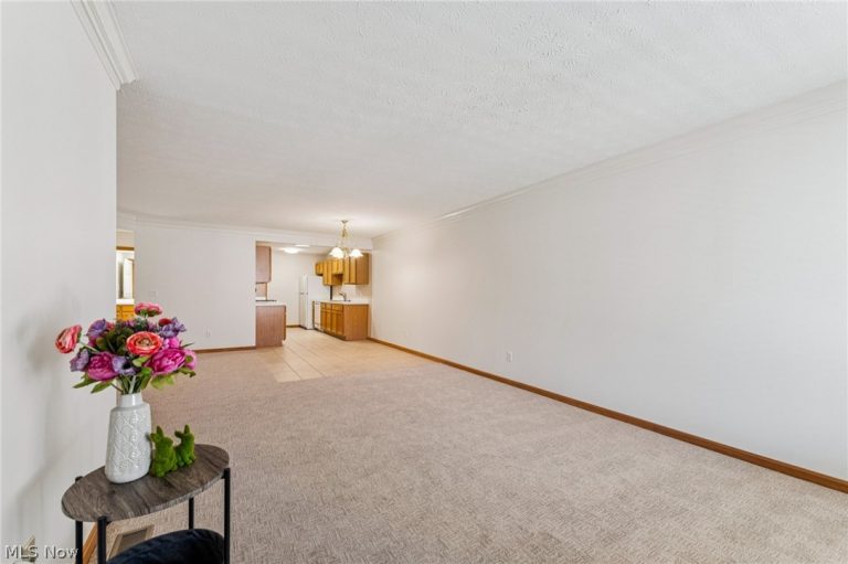 6912 Paradise Way, North Ridgeville, OH - Photo 8