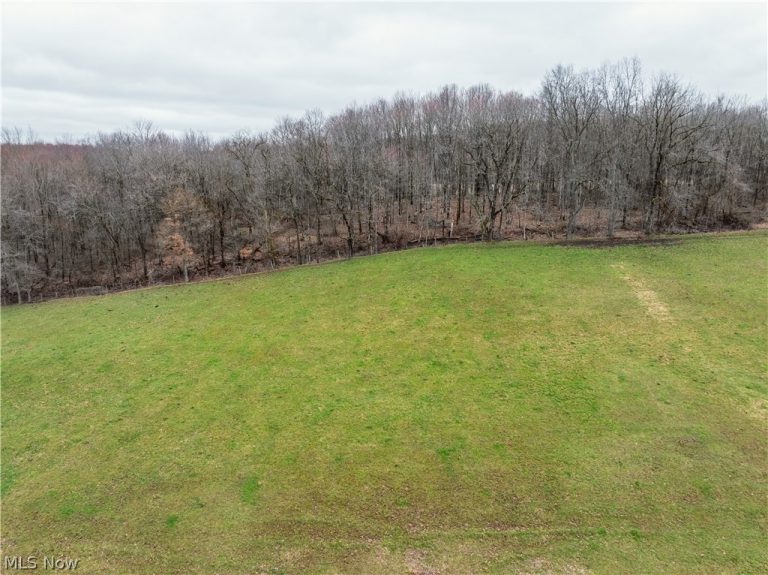 SR-516, Dundee, OH - Photo 6