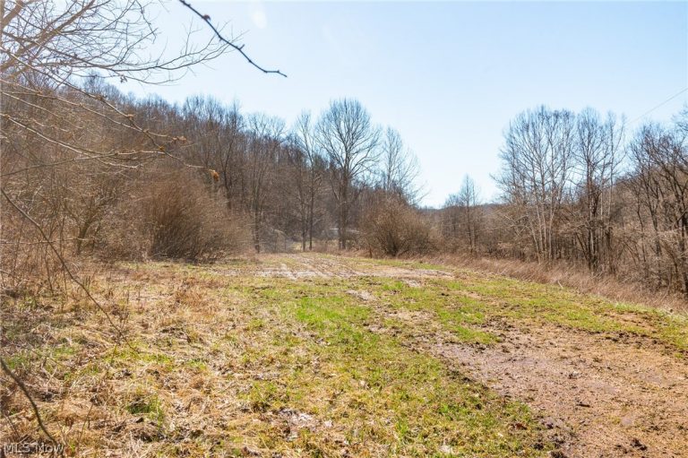 Sheepskin Ridge Road, Lower Salem, OH - Photo 4