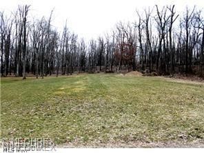 Prairie College Street, Canton, OH, 44706