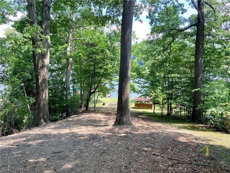 154 Mohawk Drive, Malvern, OH - Photo 4