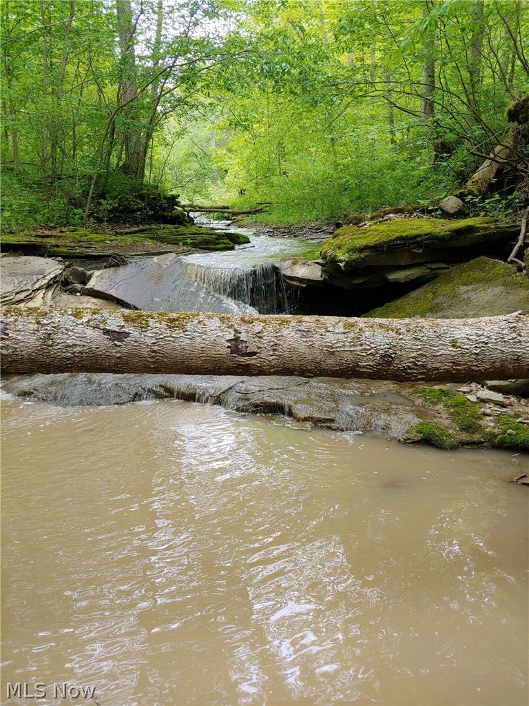 00 Pipe Creek Road, Jacobsburg, OH - Photo 3