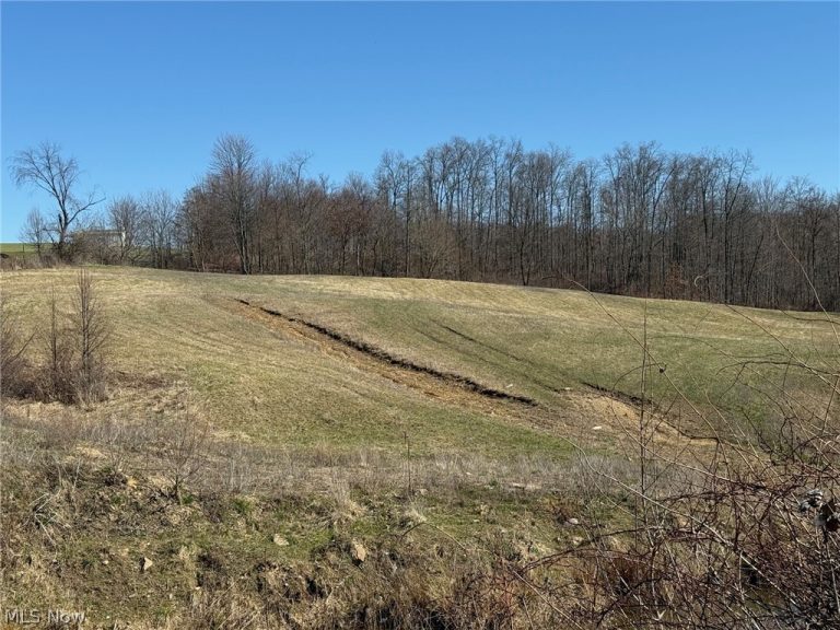 10955 Township Road 262, Millersburg, OH - Photo 4