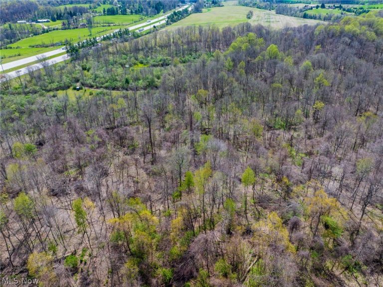 105 Hanley Road, Mansfield, OH - Photo 3