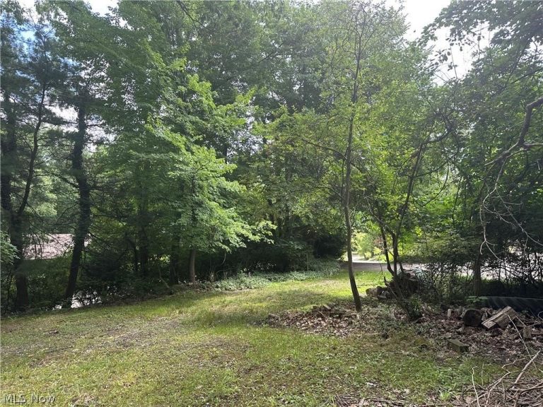 Belleau Wood Drive, Akron, OH - Photo 6