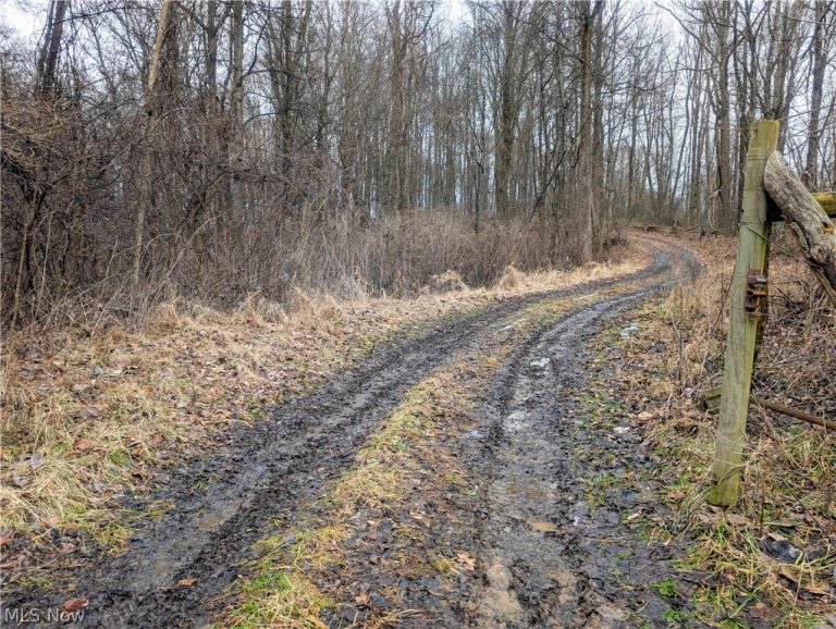 Tract 9 Township RD 272, Lewisville, OH - Photo 3