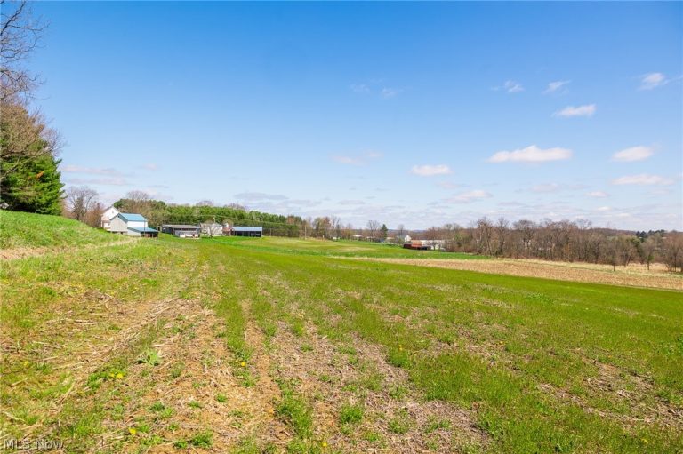 9050 Freeman Road, Lisbon, OH - Photo 2