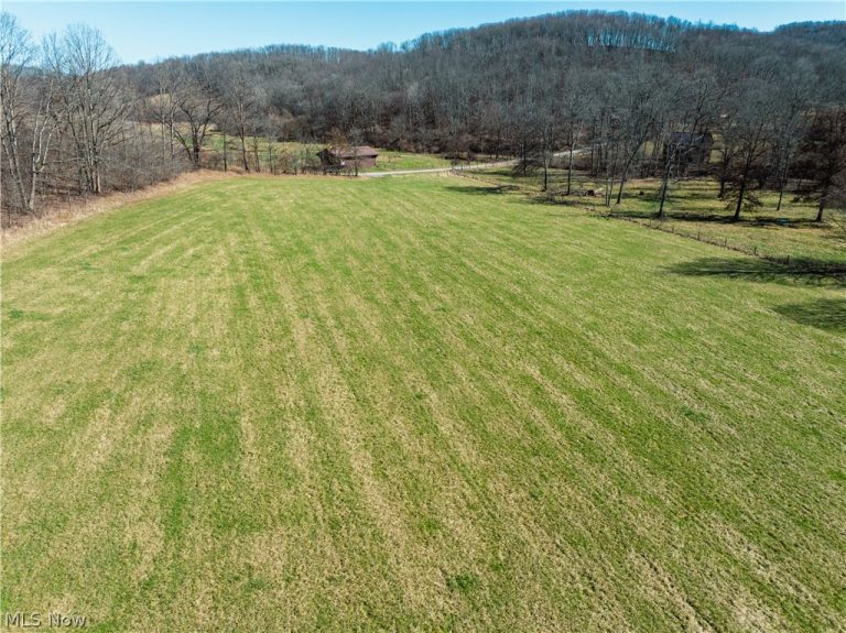 Eckley Road, Jewett, OH - Photo 3