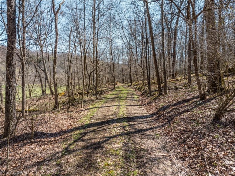 Township Road 34, Killbuck, OH - Photo 6