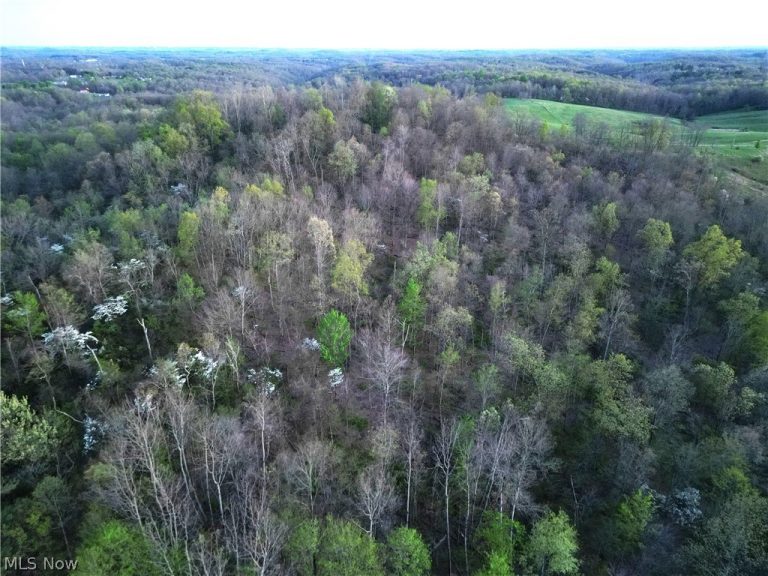 ZANE Road, Lore City, OH - Photo 4