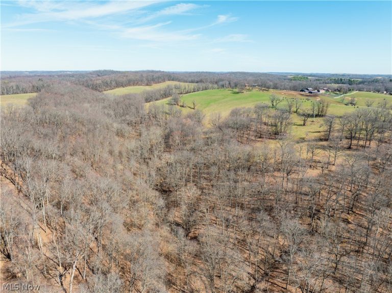 91100 Eckley Road, Jewett, OH - Photo 5