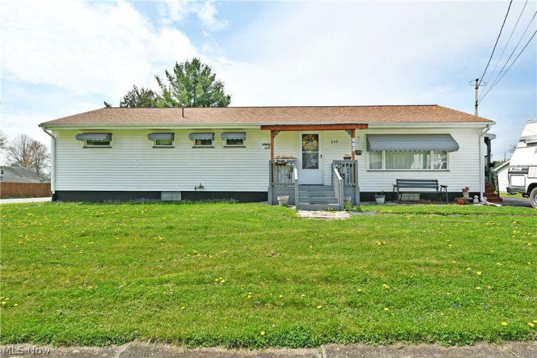 230 High Avenue, Niles, OH, 44446