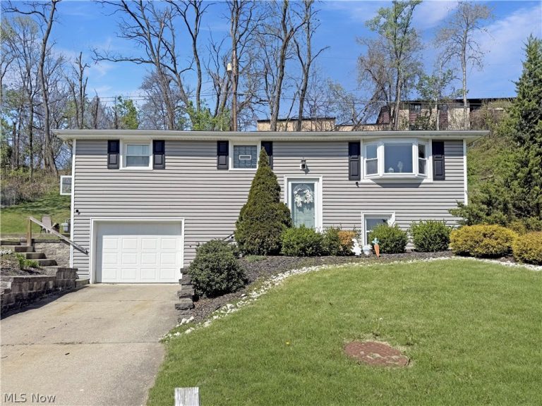 240 Rex Avenue, Wintersville, OH, 43953