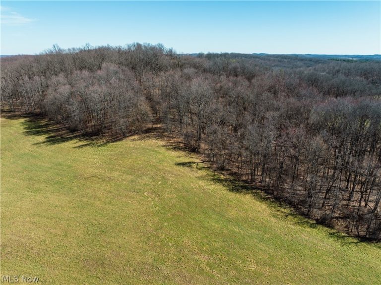 Burrier Road, Jewett, OH - Photo 5