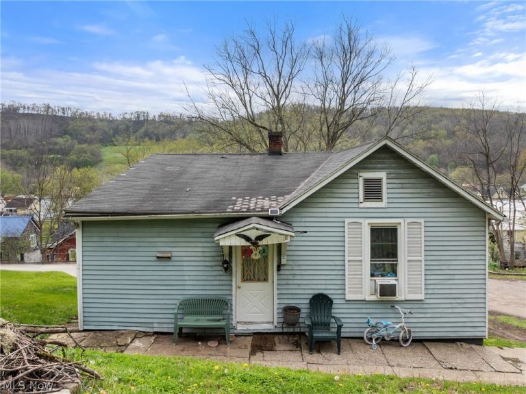 134 Coss Street, Dillonvale, OH - Photo 4