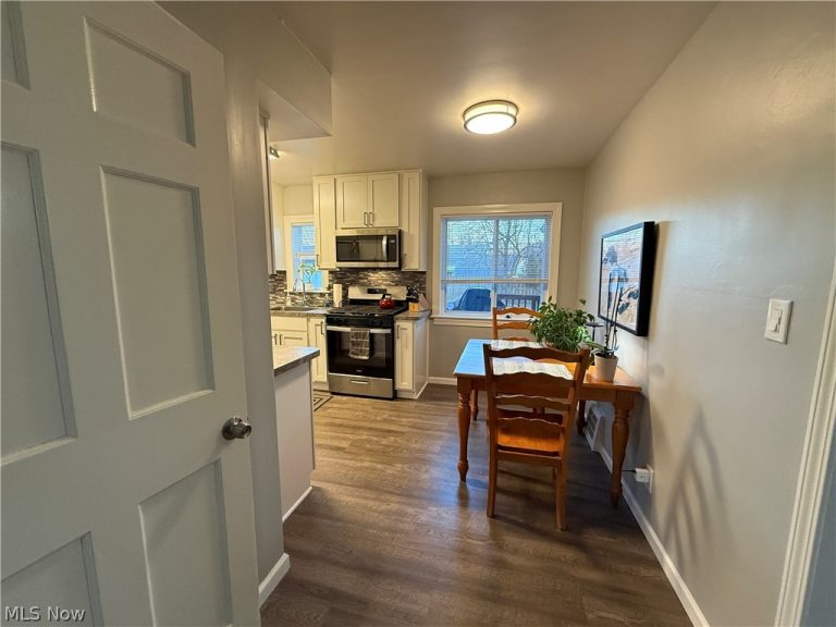 411 270th Street, Euclid, OH - Photo 8