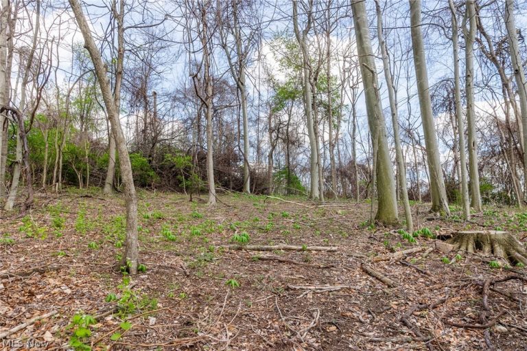 105 Hanley Road, Mansfield, OH - Photo 2