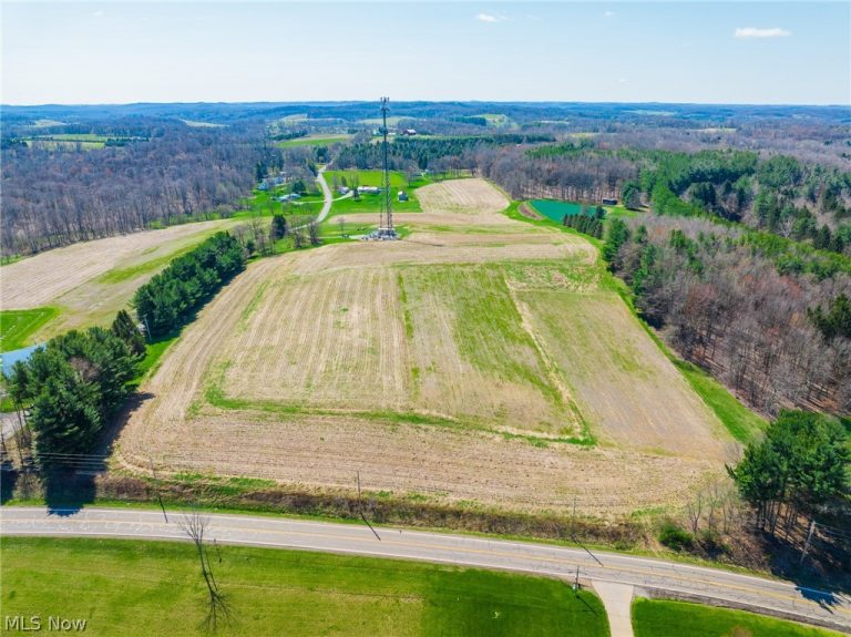 9050 Freeman Road, Lisbon, OH - Photo 2