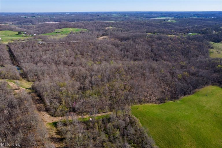 Sealover Hollow Rd Road, Philo, OH - Photo 6