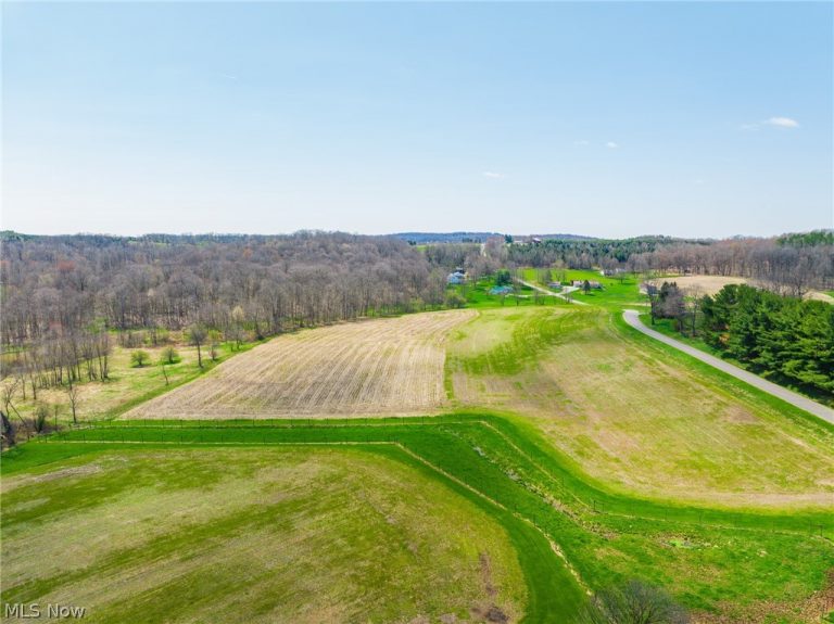 9050 Freeman Road, Lisbon, OH - Photo 6