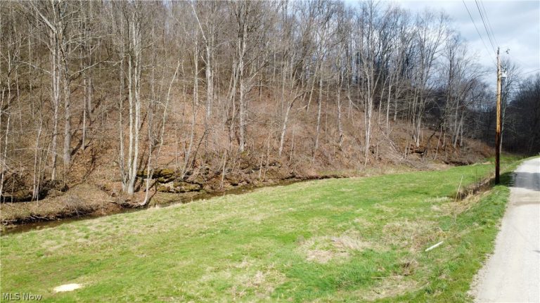 39460 Opossum Creek Road, Sardis, OH - Photo 2